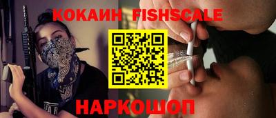 тгк Бийск