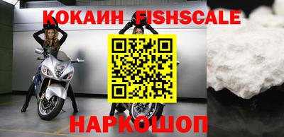 тгк Бийск