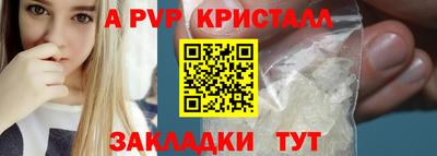 тгк Бийск