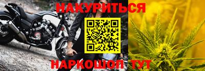 тгк Бийск