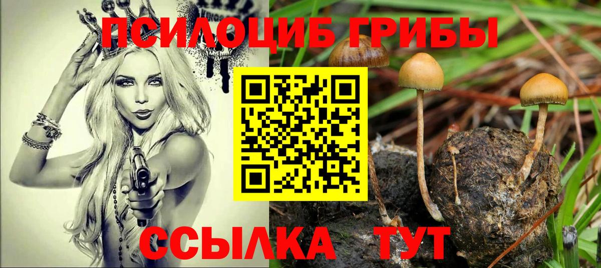 Псилоцибиновые грибы Cubensis Ирбит