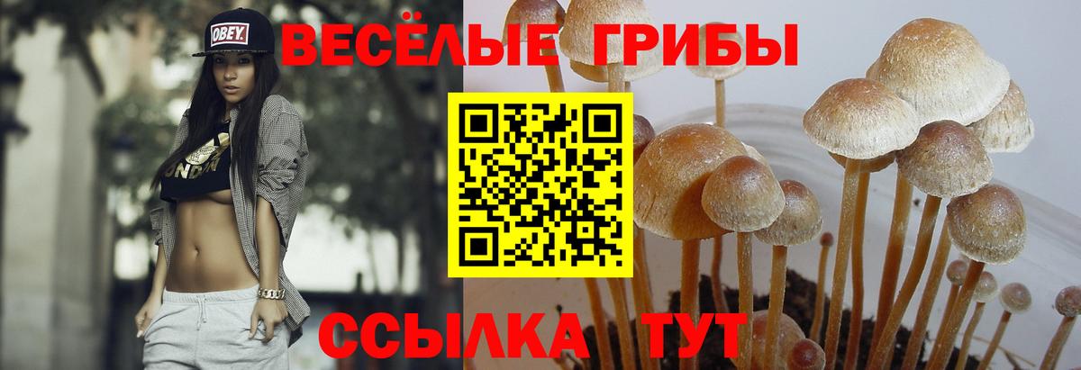 Галлюциногенные грибы MAGIC MUSHROOMS  Вход с VPN  Ирбит 